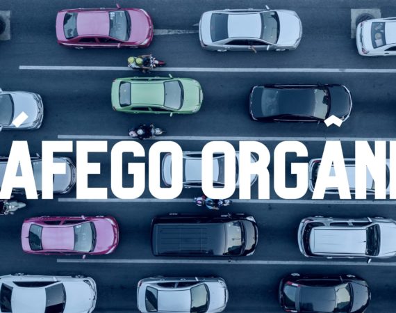 O que é Tráfego Orgânico